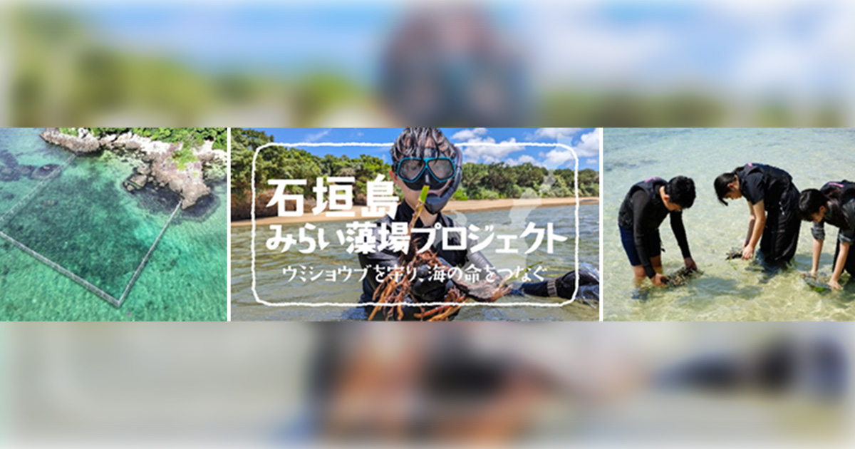 石垣島みらい藻場プロジェクト